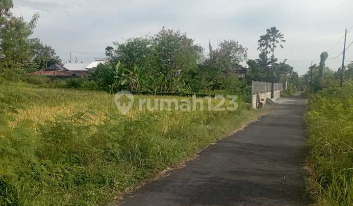 Tanah Sawah 1070 Meter Persegi Lokasi Dekat Progo Palagan Ngaglik Sleman Tanah Sawah 1070 Meter Persegi Lokasi Dekat Progo Palagan Ngaglik Sleman