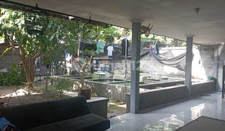 Residence 3 Minutes to Sedayu Hospital and Mercubuana University, Argomulyo, Sedayu, Bantul, Yogyakarta 2