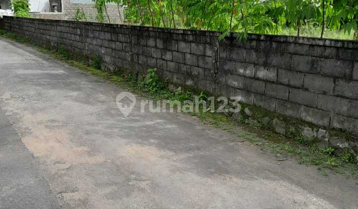 Dijual Tanah Pekarangan Luas & Strategis di Turi, Sleman Cocok untuk Hunian atau Investasi