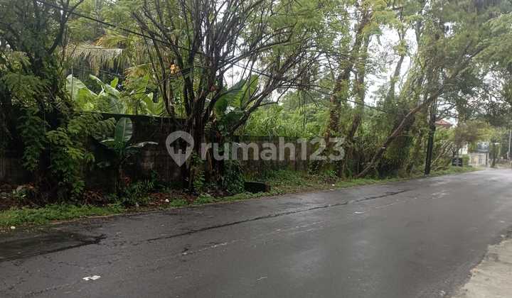 Tanah Pekarangan 4513 Meter Persegi Lokasi Dekat RS panti Nugroho Ngemplak Sleman Tanah Pekarangan 4513 Meter Persegi Lokasi Dekat RS panti Nugroho Ngemplak Sleman