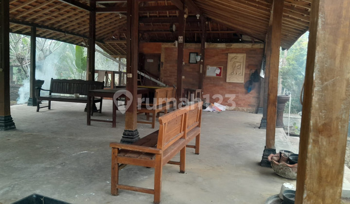 Investasi Tanah & Villa Halaman Luas Dekat Pasar Gading di Platen, Gunung Kidul Investasi Tanah & Villa Halaman Luas Dekat Pasar Gading di Platen, Gunung Kidul