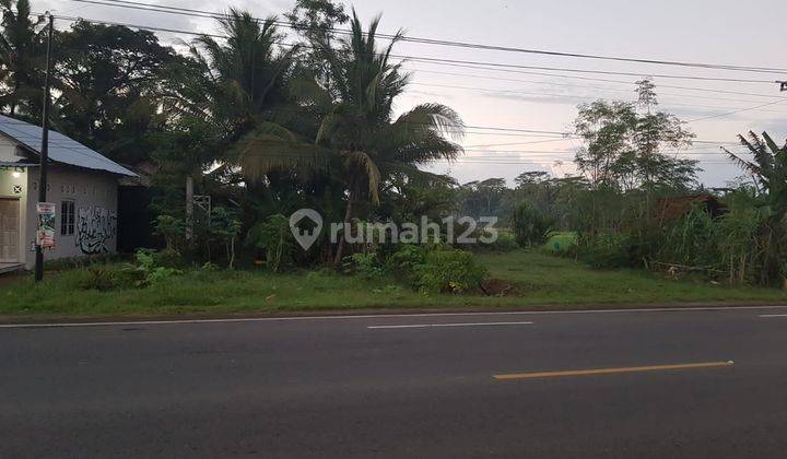 Tanah 1.630 Hanya 3 Km Dari Bandara YIA, Kulonprogo, Yogyakarta 1