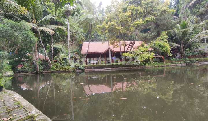 Own a Beautiful Villa in Ledok Sambi Tourism, Umbulharjo, Cangkringan, Sleman