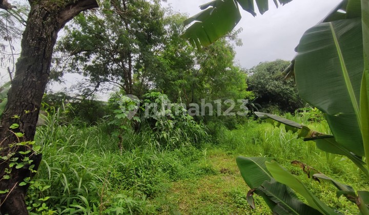 Tanah Strategis 797 Meter Lokasi Jalan Garuda Sinduharjo Ngaglik Sleman Tanah Strategis 797 Meter Lokasi Jalan Garuda Sinduharjo Ngaglik Sleman