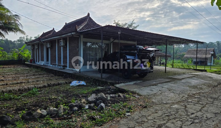 Homestay Lokasi Strategis Dekat RSUD Nyi Ageng Serang, Sentolo Kulonprogo