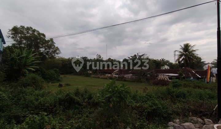 Dijual Tanah di Jalan Utama Jogja-Wonosari, Dekat Kampus dan Kantor Pajak, Kepek, Wonosari, Gunungkidul