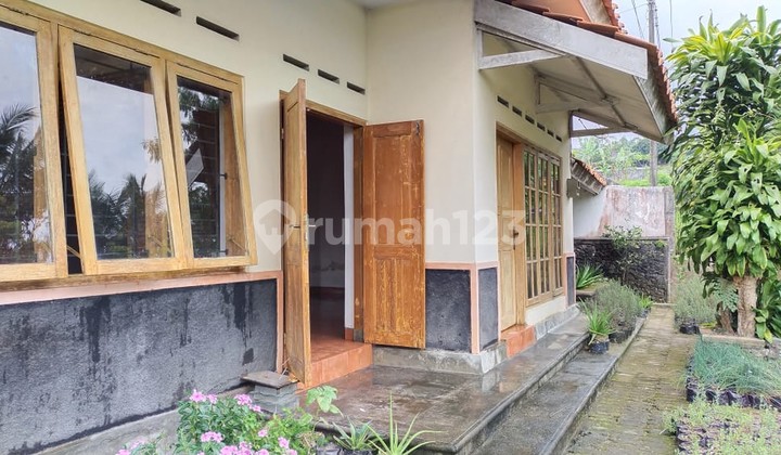 Rumah & Kebun Cocok Untuk Villa dengan Perkebunan Lokasi di Pakem Sleman. 2