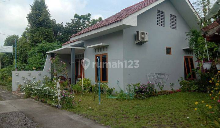 Homestay, Rumah Sewa Harian di Tamantirta dekat UMY dan Malioboro 1