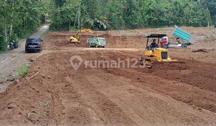 Tanah Cocok Untuk Peternakan Ayam Di Kulonprogo, Yogyakarta 1