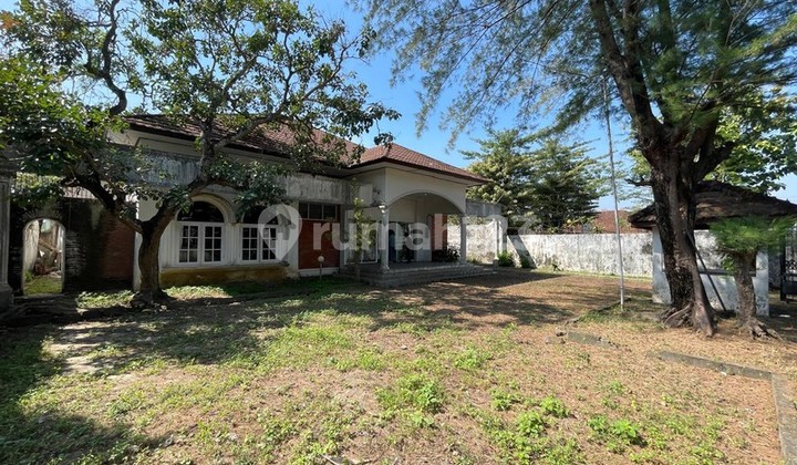 Rumah Halaman Luas di Tengah Kota Timoho Dekat Timoho, Malioboro