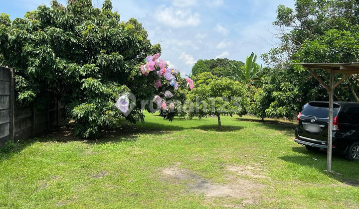 Tanah Pekarangan 1443 Meter Persegi Lokasi Dekat Bandara Adi Sucipto, Berbah, Sleman. Tanah Pekarangan 1443 Meter Persegi Lokasi Dekat Bandara Adi Sucipto, Berbah, Sleman.