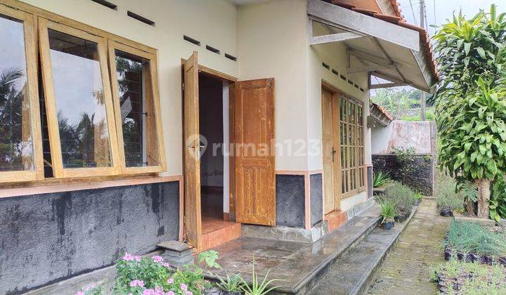 Rumah Cocok Untuk Villa dengan Perkebunan Lokasi di Pakem Sleman  2