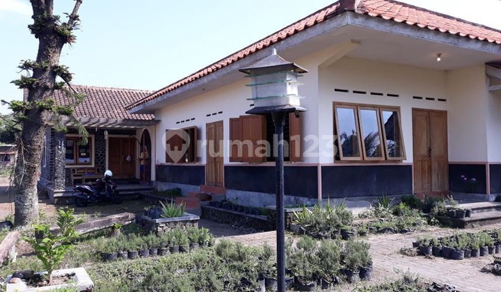 Rumah & Kebun Cocok Untuk Villa dengan Perkebunan Lokasi di Pakem Sleman.