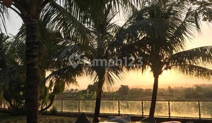 Dijual Vila Mewah Di Seseh – View Sawah & Sunset
