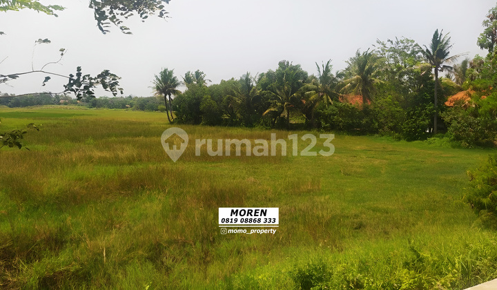 For Sale Quickly Dry & Landed Land Jl. Raya Kronjo Tangerang For Sale Quickly Dry & Landed Land Jl. Raya Kronjo Tangerang