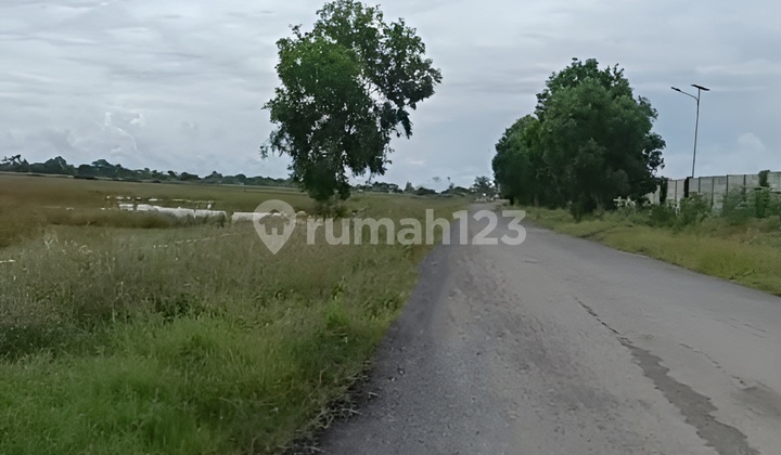 Quick Sale Land Kalentambo West Java Quick Sale Land Kalentambo West Java