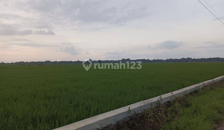 Dijual Tanah Zona Industri Termurah Sekabupaten Subang Jawa Barat 1