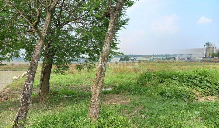 Dijual Cepat Tanah Telukjambe Barat Karawang