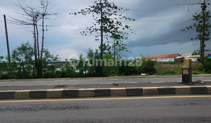 Dijual Cepat Tanah Jalan Pantura Cirebon Jawa Barat