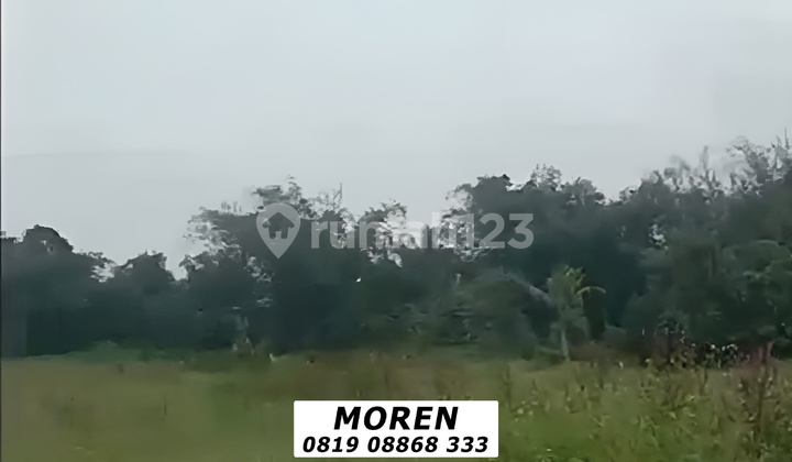 Dijual Cepat Tanah Cibugel Cisoka Tangerang Banten