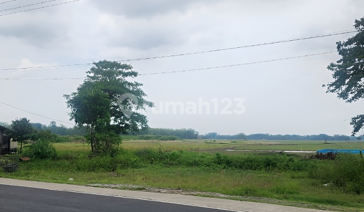 Dijual Cepat Tanah Kalijati Subang Jawa Barat