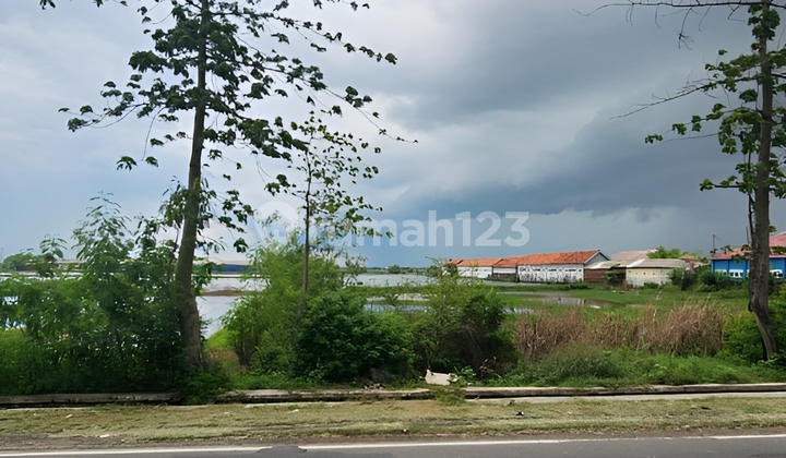Dijual Cepat Tanah Jalan Pantura Cirebon Jawa Barat