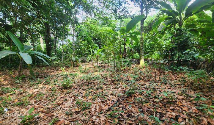 Dijual Cepat Tanah Premium Caracas Kalijati Subang Jawa Barat 1