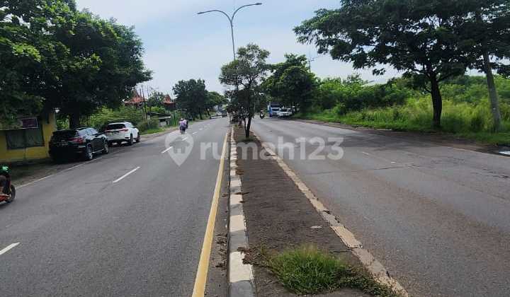 Dijual Tanah Kavling Desa Pengarengan Kec Pangenan, Cirebon Dijual Tanah Kavling Desa Pengarengan Kec Pangenan, Cirebon