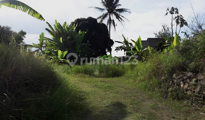 Dijual Cepat Tanah Komersil Jl. Diponegoro Salatiga Jawa Tengah