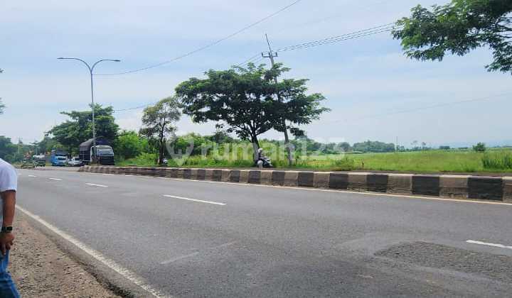 Dijual Tanah Kavling Desa Pengarengan Kec Pangenan, Cirebon