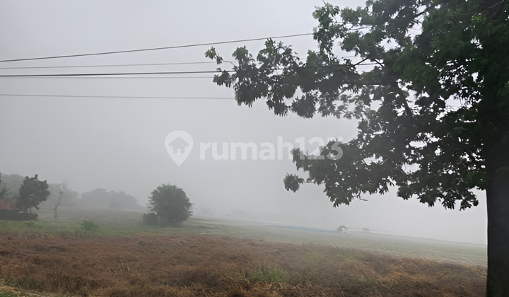 Dijual Cepat Tanah Sanca Cikamurang Jawa Barat Dijual Cepat Tanah Sanca Cikamurang Jawa Barat