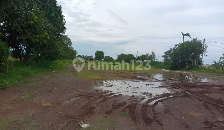 Dijual Tanah Kavling Desa Sukahaji Indramayu Jawa Barat