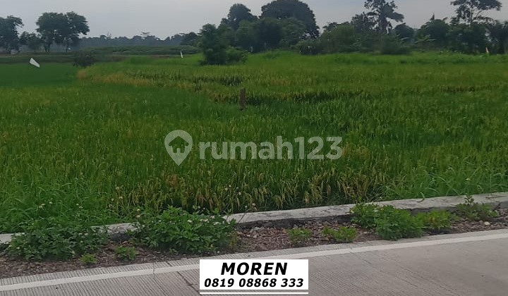 Dijual Cepat Tanah Kosong Desa Songgom Cikande Serang Banten Dijual Cepat Tanah Kosong Desa Songgom Cikande Serang Banten