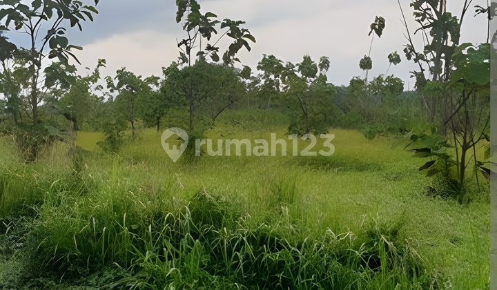 Dijual Cepat Tanah Zona Industri di Kutruk Tigaraksa Tangerang Dijual Cepat Tanah Zona Industri di Kutruk Tigaraksa Tangerang