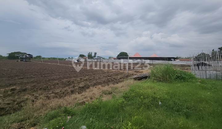 Dijual Cepat Tanah Jalan Pangenan Cirebon Jawa Barat Dijual Cepat Tanah Jalan Pangenan Cirebon Jawa Barat