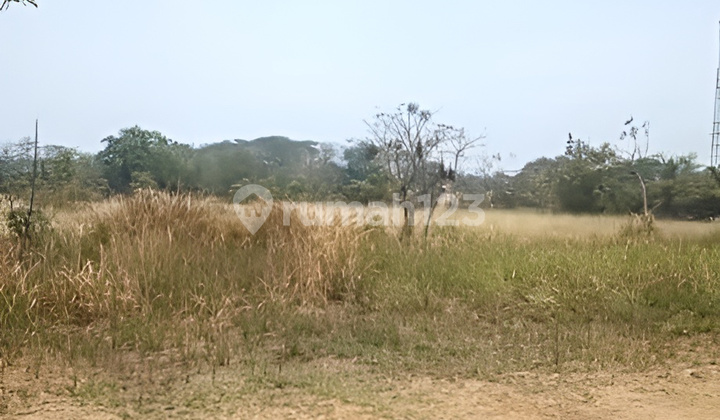 Dijual Lahan Kosong Tanah Darat Jalan Raya Balaraja Kronjo Tangerang Dijual Lahan Kosong Tanah Darat Jalan Raya Balaraja Kronjo Tangerang