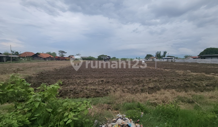 Dijual Cepat Tanah Jalan Pangenan Cirebon Jawa Barat