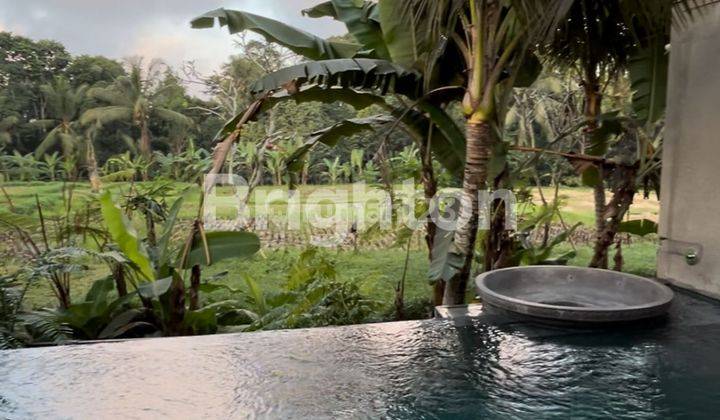 VILLA BARU DI UBUD DENGAN PEMANDANGAN SAWAH