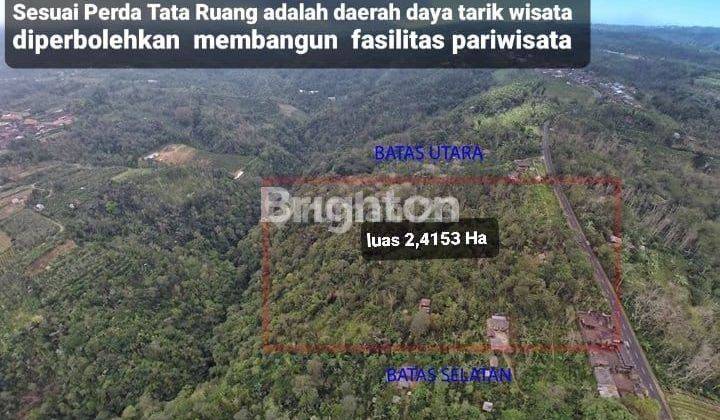 PROFITABLE LAND INVESTMENT IN KINTAMANI 1