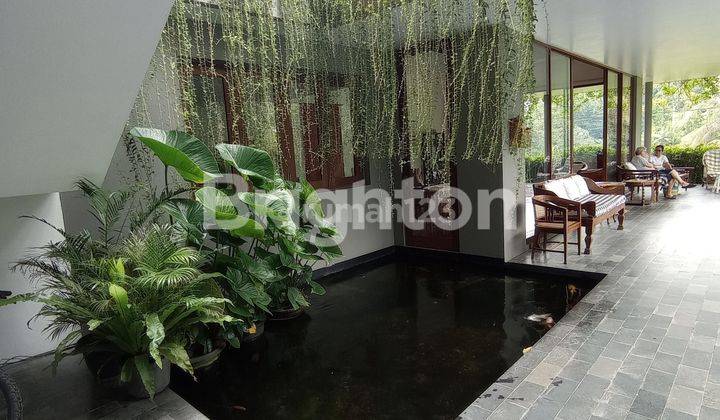 VILLA MEWAH DI UBUD DENGAN KOLAM RENANG DAN VIEW SAWAH 2