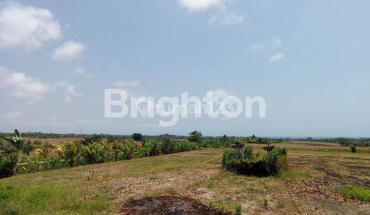 GLOBAL LAND IS SUITABLE FOR VILLAS IN TANGGUNTITI SELEMADEG TABANAN 1