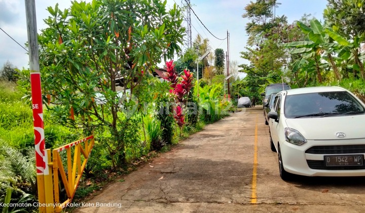 Jual Lelang Tanah Kavling Di Rancakendal Cigadung Dekat Dago Resort Jual Lelang Tanah Kavling Di Rancakendal Cigadung Dekat Dago Resort