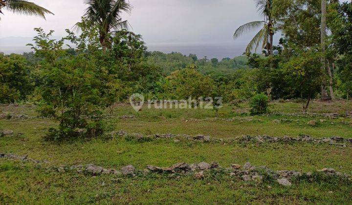 Dijual murah kavling siap pakai at Nusa Penida Klungkung Bali 2