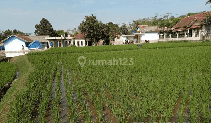 Tanah  Di Warungkondang Cianjur 1