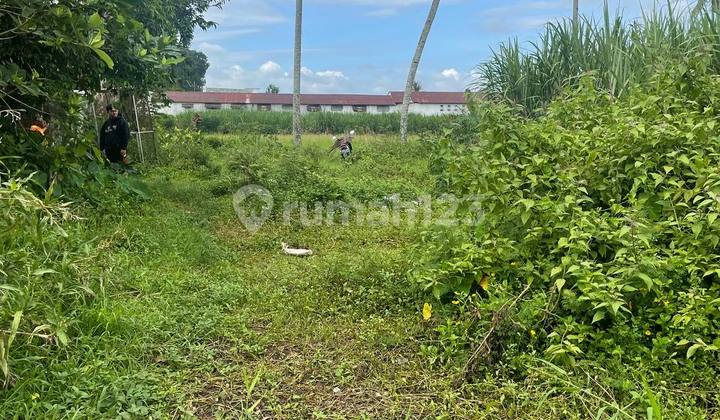 Tanah Luas Strategis Nol Jalan Raya Pakisaji Siap Bangun