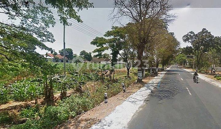 Affordable Price, Large Land, Zero Road, Pasuruan Malang, Ready to Build Affordable Price, Large Land, Zero Road, Pasuruan Malang, Ready to Build