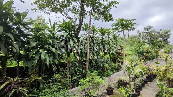 Tanah Luas Siap Bangun Di Daerah Suhat Jalan Bunga Bunga