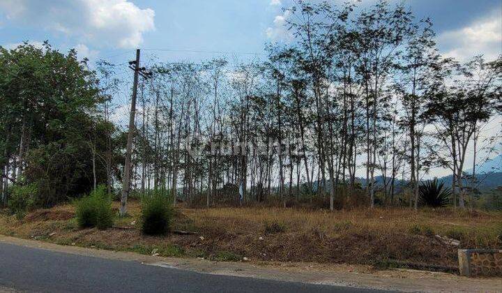 Tanah Luas Murah Di Bandulan Kota Malang Bisa Dibuat Perumahan 1