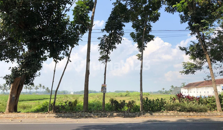 Dijual Tanah Luas Di Nol Jalan Poros Malang Kepanjen Strategis Dijual Tanah Luas Di Nol Jalan Poros Malang Kepanjen Strategis