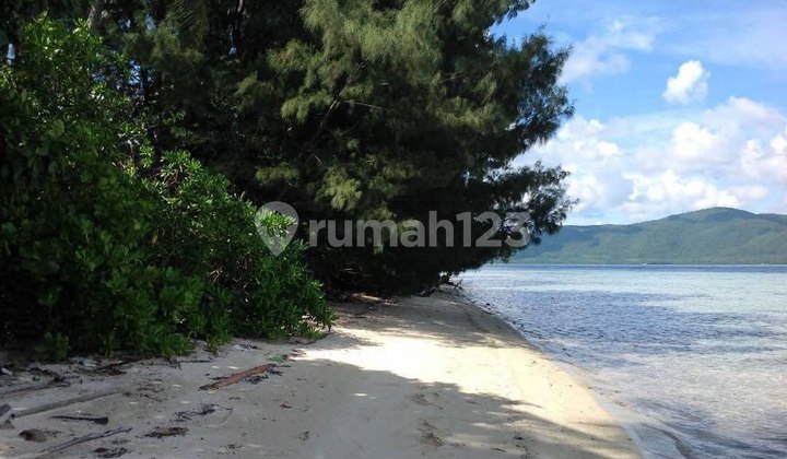 Murah Pulau Di Karimun Jawa Cocok Untuk Pariwisata Langka